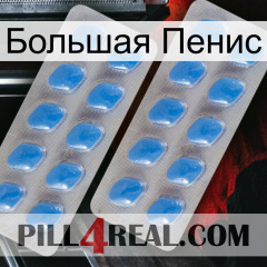 Большая Пенис 23